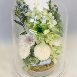 プリザーブドフラワー アレンジメント ドーム型 グリーン