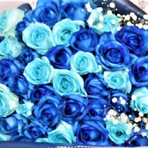 青いバラの花束 ダブルブルーローズとかすみ草