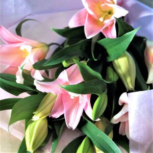 高級ピンクユリ 花束 25輪