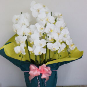 造花 胡蝶蘭 白 (大)