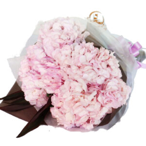 あじさい5本 花束