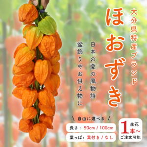 生花ほおずき(長さ・葉の有無選択)
