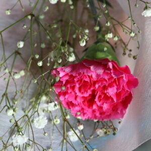赤カーネーション花束 1本