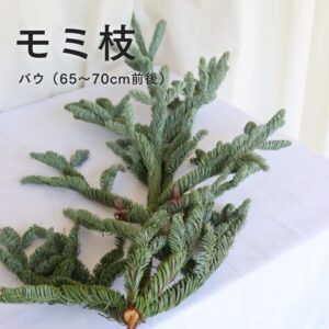 モミ枝(バウ・大)1本 本格クリスマス花材 リース スワッグ
