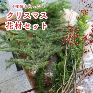 クリスマス花材 6種セット