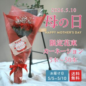 赤カーネーション花束(本数選択)