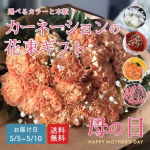 カーネーション花束(本数・色選択)