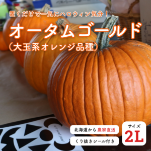ハロウィン オータムゴールド 2L 生かぼちゃ