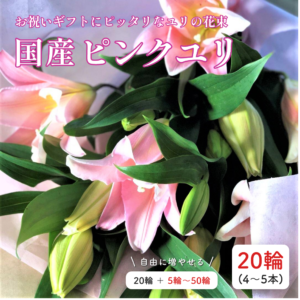 ピンクユリ 20輪