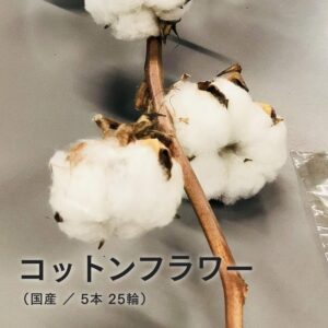 コットンフラワー 5本・25輪