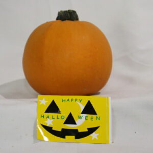 ハロウィン トリック生かぼちゃ 10cm前後