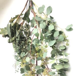 生花ユーカリ 10本セット